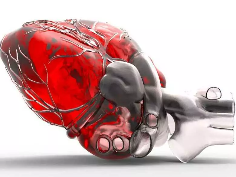 Anatomia - supermoc elektrofizjologa